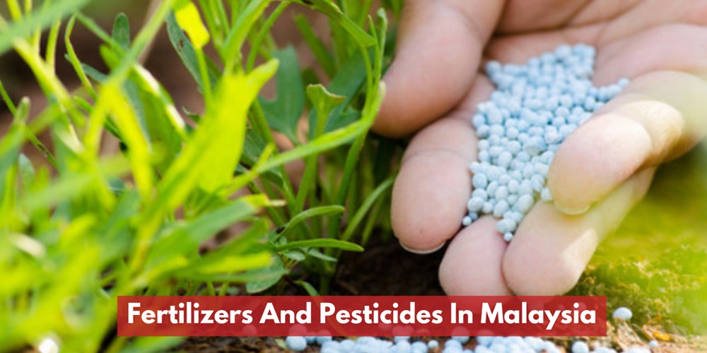 Fertilizers And Pesticides In Malaysia